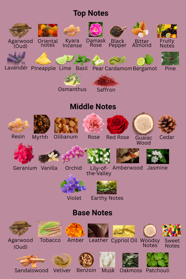 1212_28.png