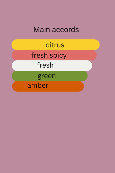 487_487.png