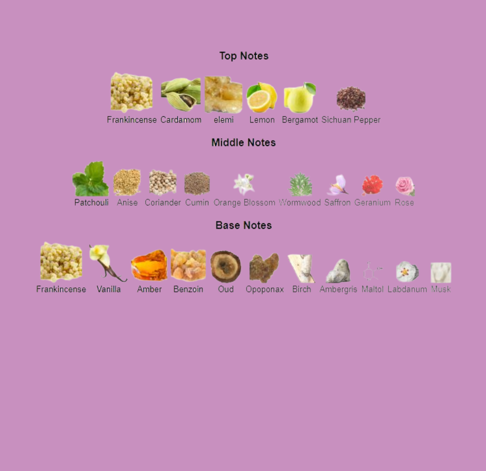 Untitled_design_2.png